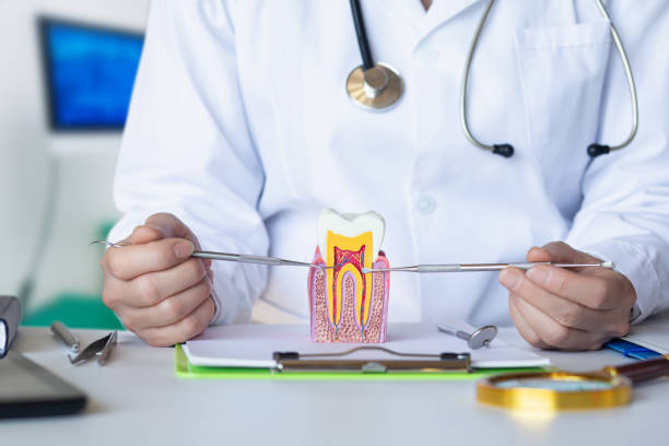 Best Emergency Root Canal Treatment in Thorofare, NJ
